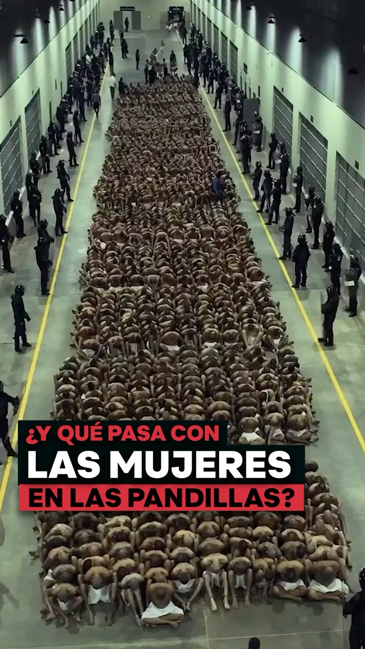 ¿Qué pasó con las esposas de los pandilleros? @PaoCastilloOf