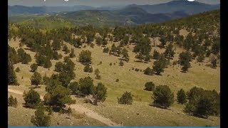 Sheridan Hill. Idaho Springs, CO. Solo. DNF. #45