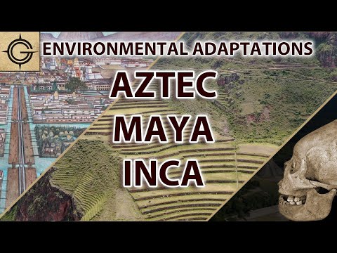 Video: Hvordan brukte aztekerne miljøet sitt?
