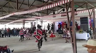 los provincianos del choapa cuecas rodeo los rulos 2023 comuna de canela