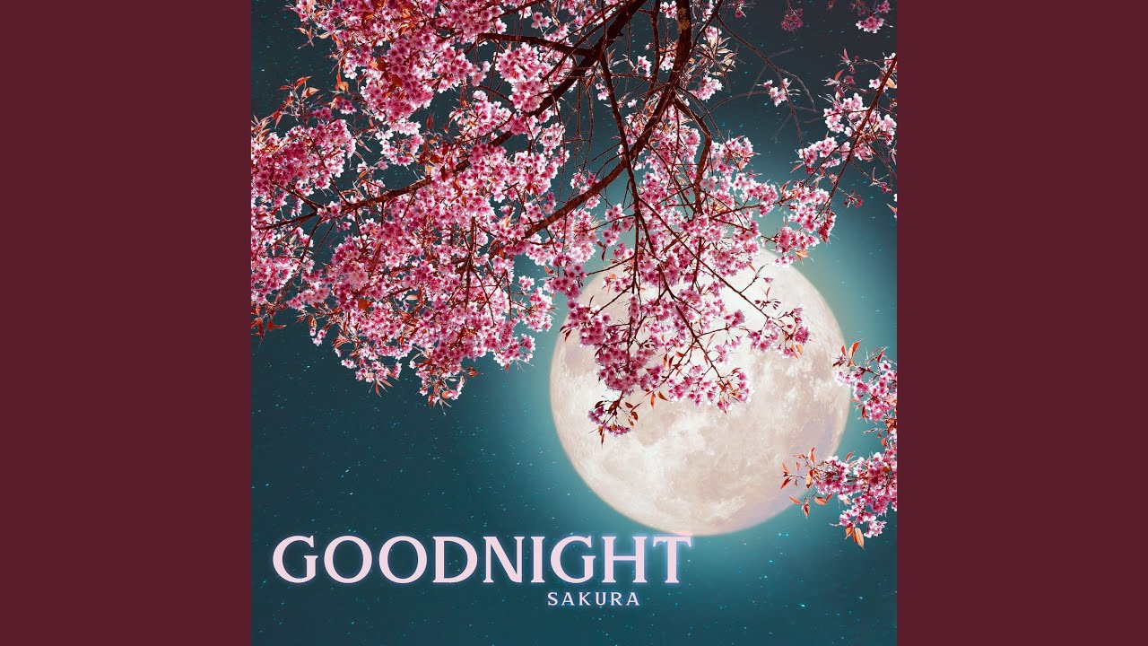 Goodnight Sakura