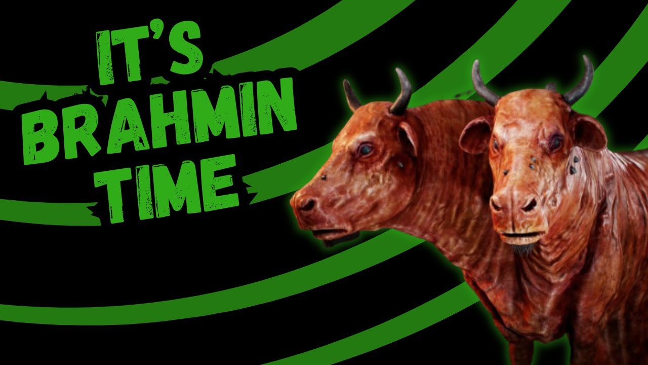 How To Use Brahmin In 