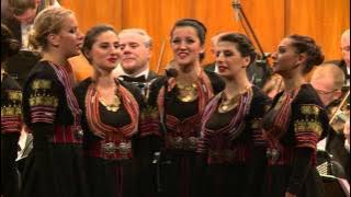 Download lagu Slavko Mitrović, Narodna filharmonija i grupa pevača KUD Gradimir - Tugovanka;Sude mi je vedro nebo