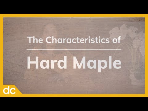 Video: Maple wood: description, wood grain, application