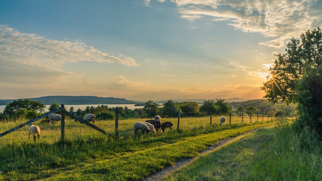 Fractal of Light - Chris Haugen | Soft Music | Mt