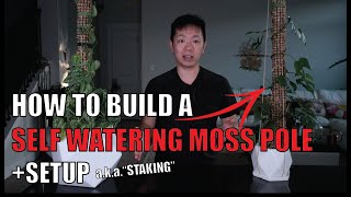 Aesthetic Self Watering Moss Poles  A Tutorial