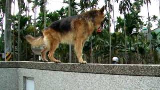 DSCF1663.AVI