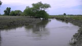 J-Hook Weir