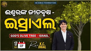 ଈଶ୍ବରଙ୍କ ଜୀତ ବୃକ୍ଷ - ଇସ୍ରାଏଲ || GOD'S OLIVE TREE - ISRAEL || REV K C DIGAL || RBF || 17-09-24