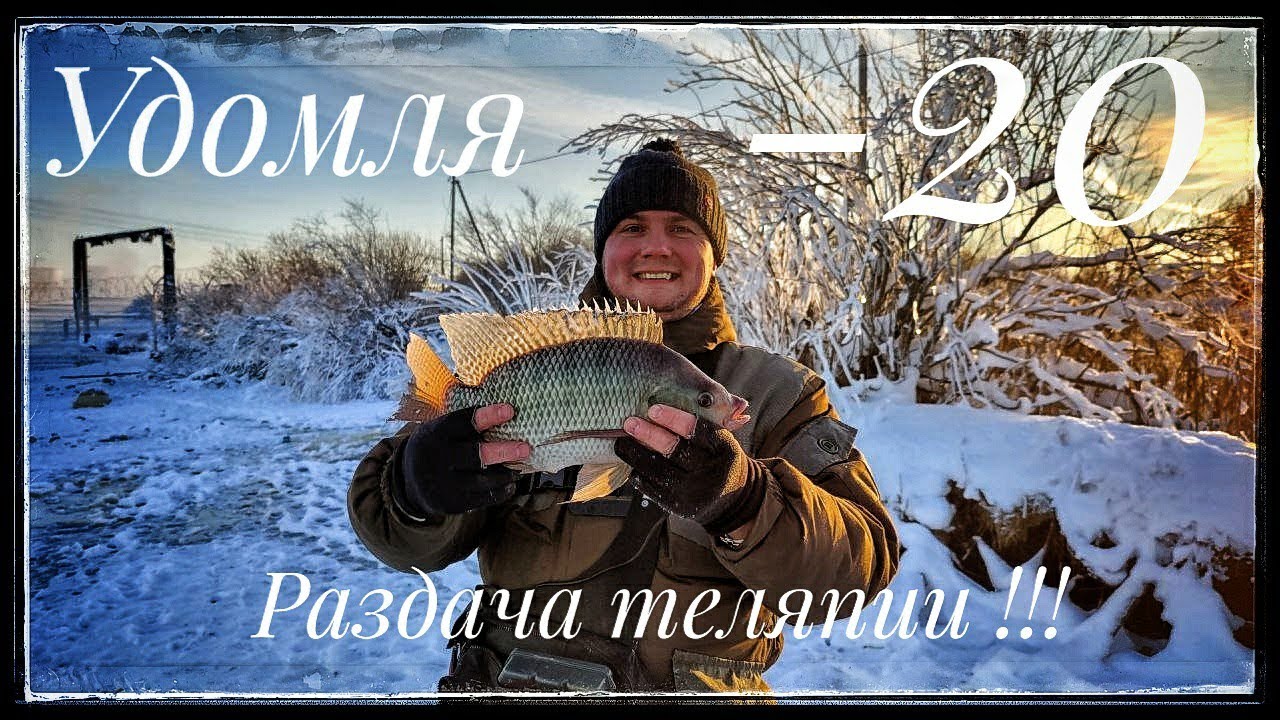 Удомля ! Экстримальная рыбалка в -20 и раздача трофейной теляпии ...