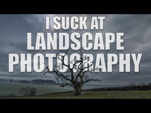 Is Vertical Or Landscape Portraits Better For Website?