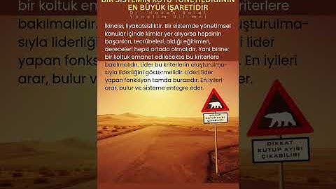 ÖNGÖRÜLEMEZLİK İŞARETİ