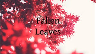 Silas Meyer - Fallen Leaves