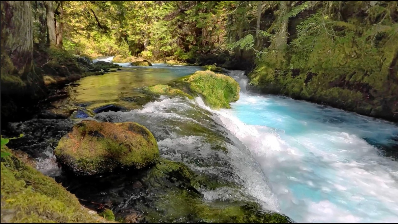 Relaxing Nature Scenes 🌿 2 Hours of Calm Music for Sleep, Study ...