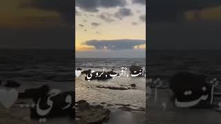 قد السما ما بحبك قد البحر ما بحبك حسين الجسمي انت اقرب لروحي مني