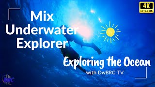 Underwater Subwater Tropical Mix: Relaxing Nature Music & Sounds | 4K View