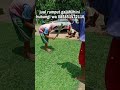 Gambar jual rumput golf di surabaya rumput hidup siap untuk panen dan dikirim dari Rumput Taman Surabaya Kota Surabaya 6 Tokopedia