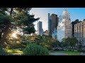 Top 10 Best Hotels Near Central Park in New York City, USA