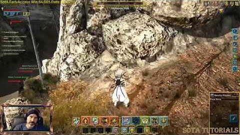 Shroud of the Avatar - Animal Taming - Basics - 101