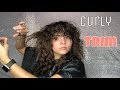 DIY CURLY CUT | Tips from a Cosmetologist
