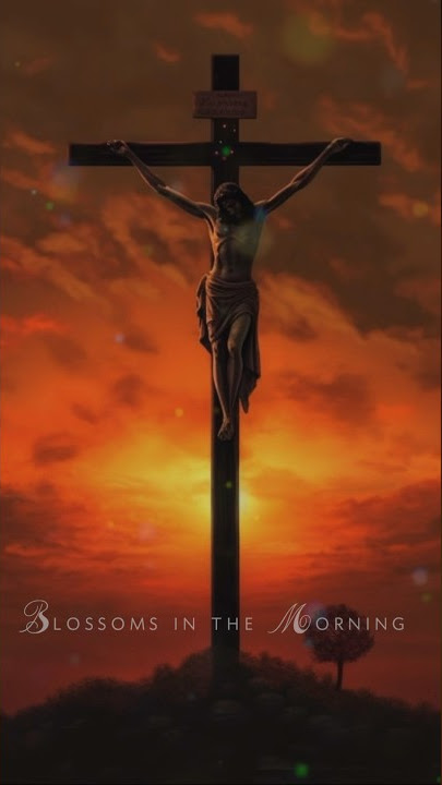 10000 Reasons βοΈπ Bless the Lord oh my Soul π #blessed #jesus #bible #worship
