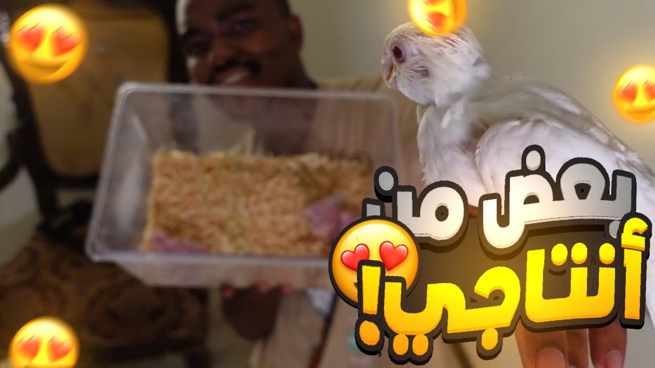 انتاج زوج الكروان.❤️🔥