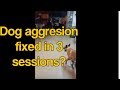 Dog Aggression Chicago- 3 Sessions And He's able to avoid Harley! Dog Aggression Chicago- 3 Sessions And He's able to avoid Harley!
