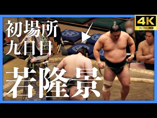 若隆景】初場所九日目。全勝決戦。相手は伯桜鵬を倒した最強の怪物