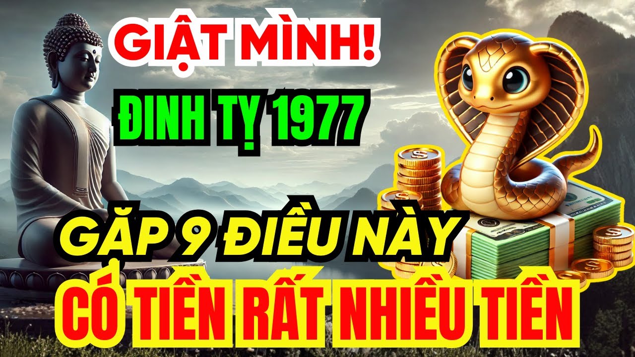 Giật mình Tuổi Đinh Tỵ 1977 SẮP GIÀU TO, Nhận Phước Trời Ban thường gặp 9 Chuyện Kỳ Lạ Này!