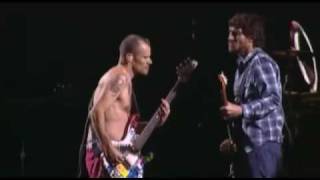 Video thumbnail of "Red Hot Chili Peppers - Californication Intro Jams 3"