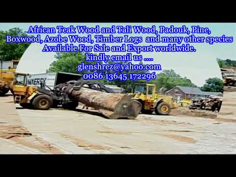 Teak Wood And Tali Wood Padouk Pine Boxwood Azobe Wood Timber Logs