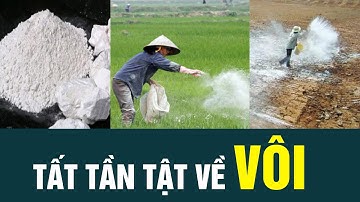TẤT TẦN TẬT VỀ VÔI TRONG NÔNG NGHIỆP