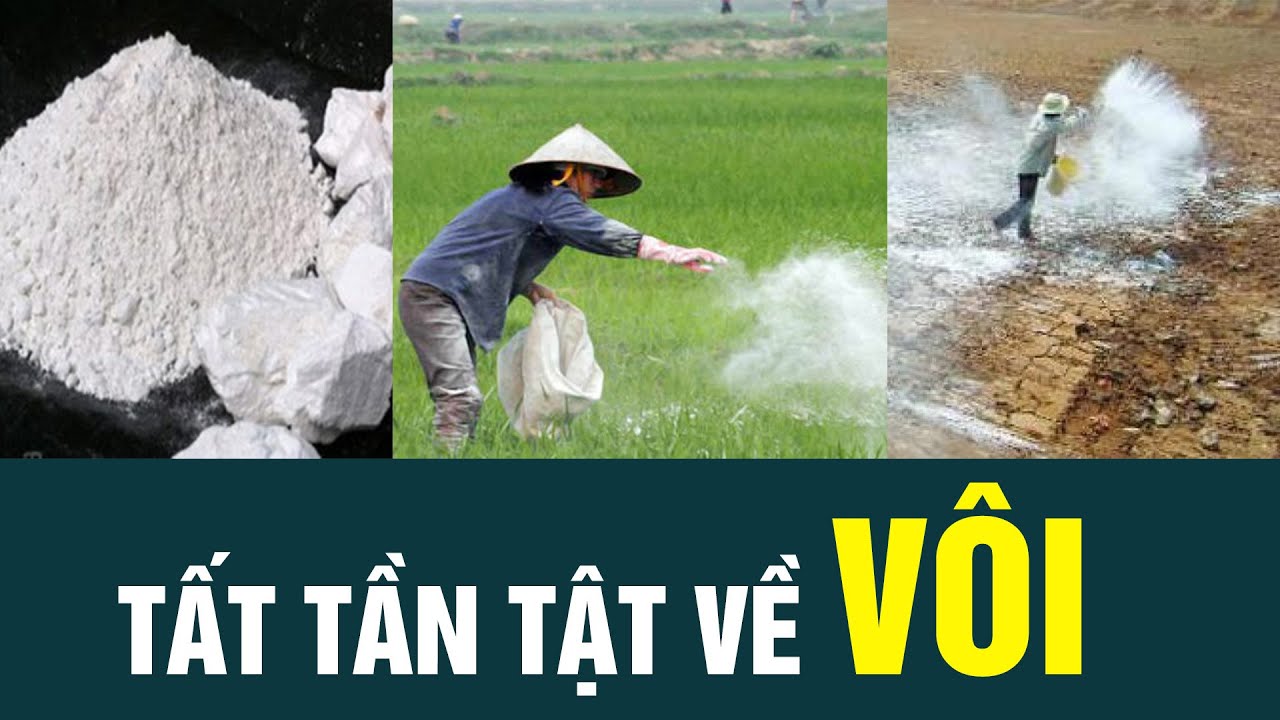 TẤT TẦN TẬT VỀ VÔI TRONG NÔNG NGHIỆP
