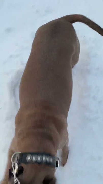 youtube.com
