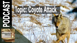 When Coyotes Attack (Woodsman&#39;s Podcast Clip)