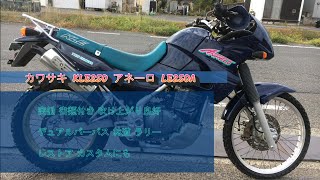 カワサキ　ＫＬＥ２５０　アネーロ　青　実動良好 mqdefault.jpg