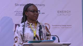 EAIF 2024: GET.invest - Scaling up finance for e-mobility