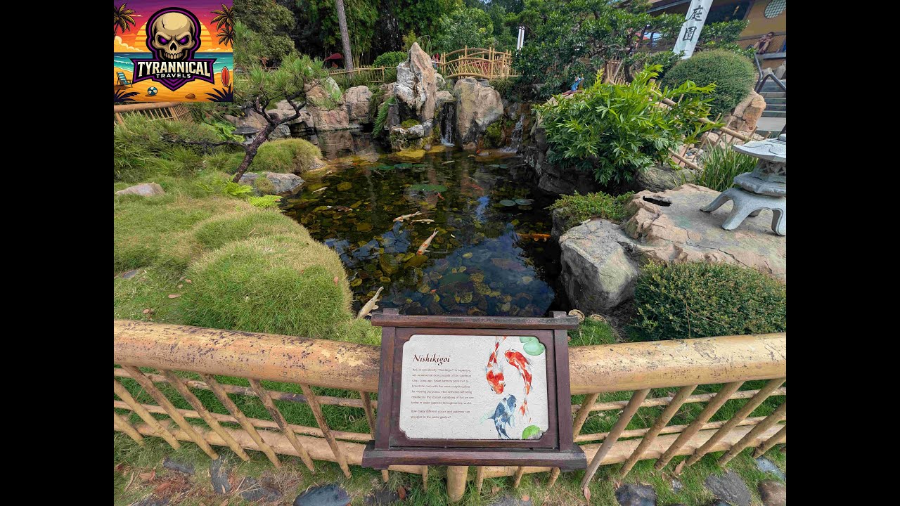Epcot Japan Pavilion Koi Water Garden