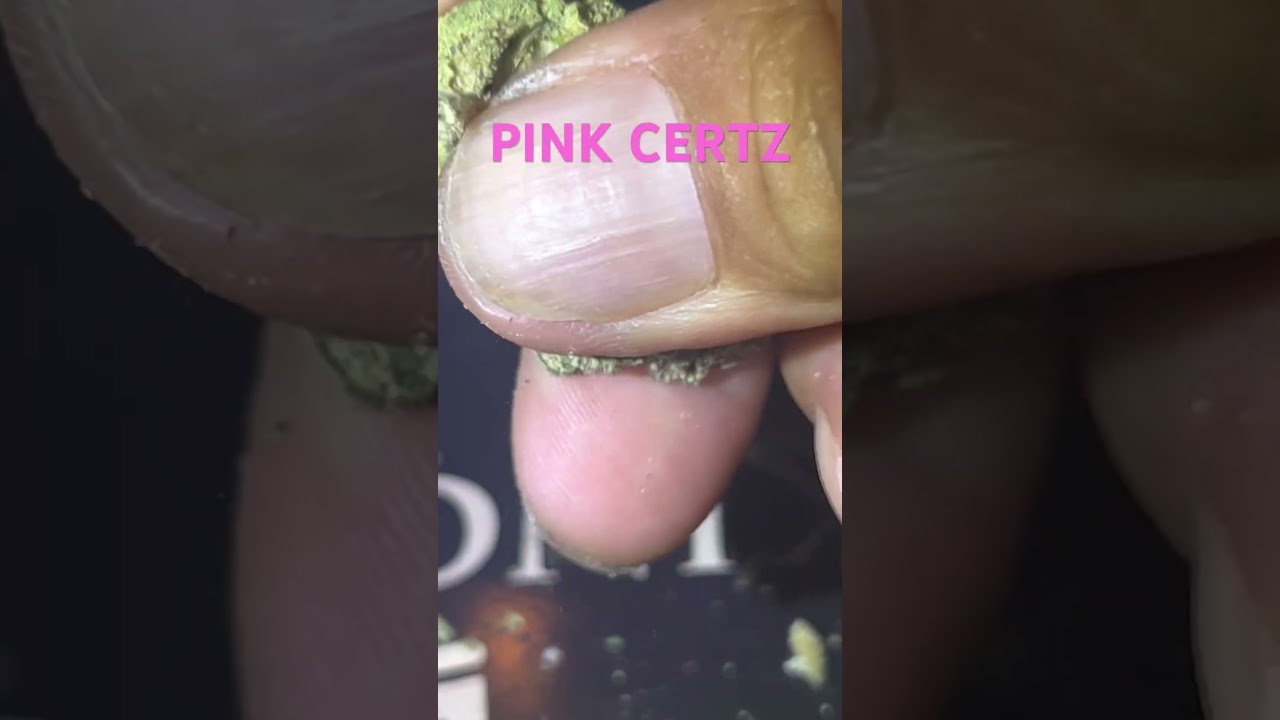 Pink Certz