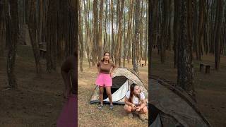 Suasana dikebon pinus