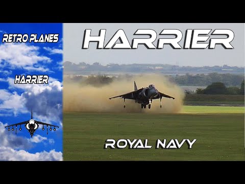 Dusty Take off !  Hawker Siddeley Harrier  Full Demo of the Royal Navy .Duxford 2001 Sanicole 2004