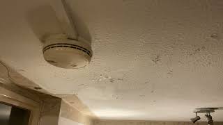 IMG 6048 05:42 9 N0V 2025