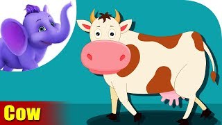 Cow Animal Rhyme, Cow Videos For Children