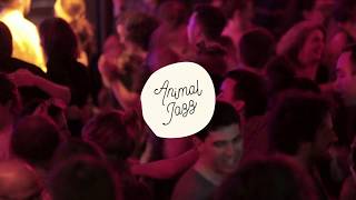 Animal Jazz. Así Somos.