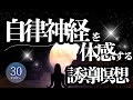 【ネドじゅんさん】自律神経を体感する瞑想