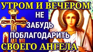 УТРОМ И ВЕЧЕРОМ НЕ ЗАБУДЬ ПОБЛАГОДАРИТЬ СВОЕГО АНГЕЛА ХРАНИТЕЛЯ. Твой Ангел ждёт от тебя эту молитву