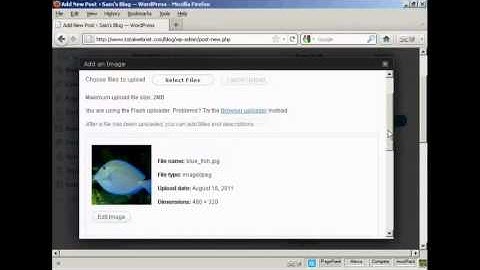 WordPress-How to Insert and Format Images