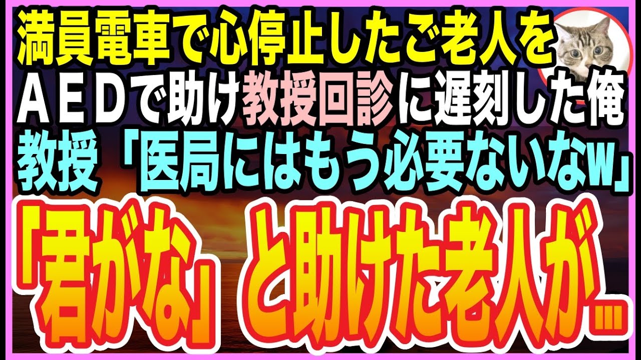 【感動する話】電車で倒れた老人を助けて回診に遅刻。理不尽に叱責され医局を追われかけた俺の前に、救った老人が現れて…【いい話】【朗読】