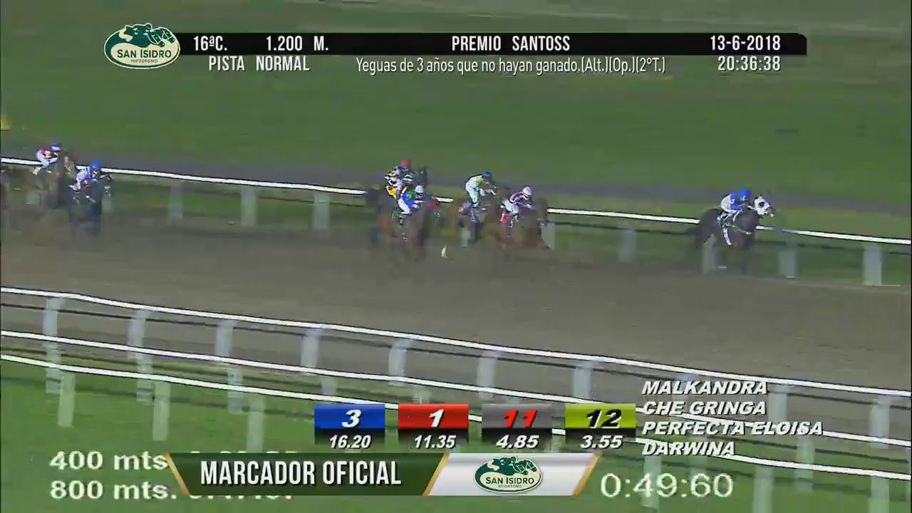 Hipódromo San Isidro Live Stream - YouTube