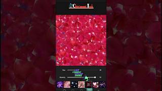 🎨✨How to use PicsArt tool|#PicsArt | #tool | Chintamani tech